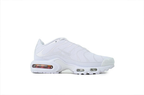 Nike Air Max Plus Triple White  AJ2029-100